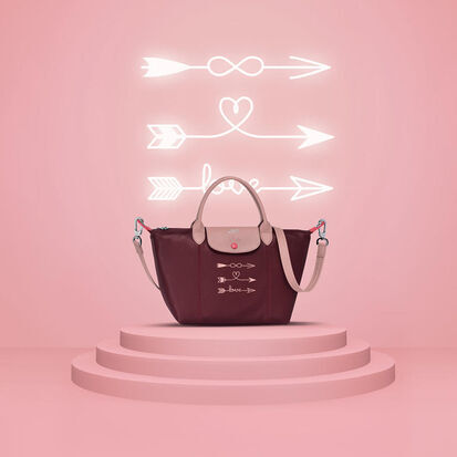 zalando longchamp le pliage