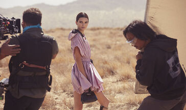 Roseau Summer sous le soleil californien