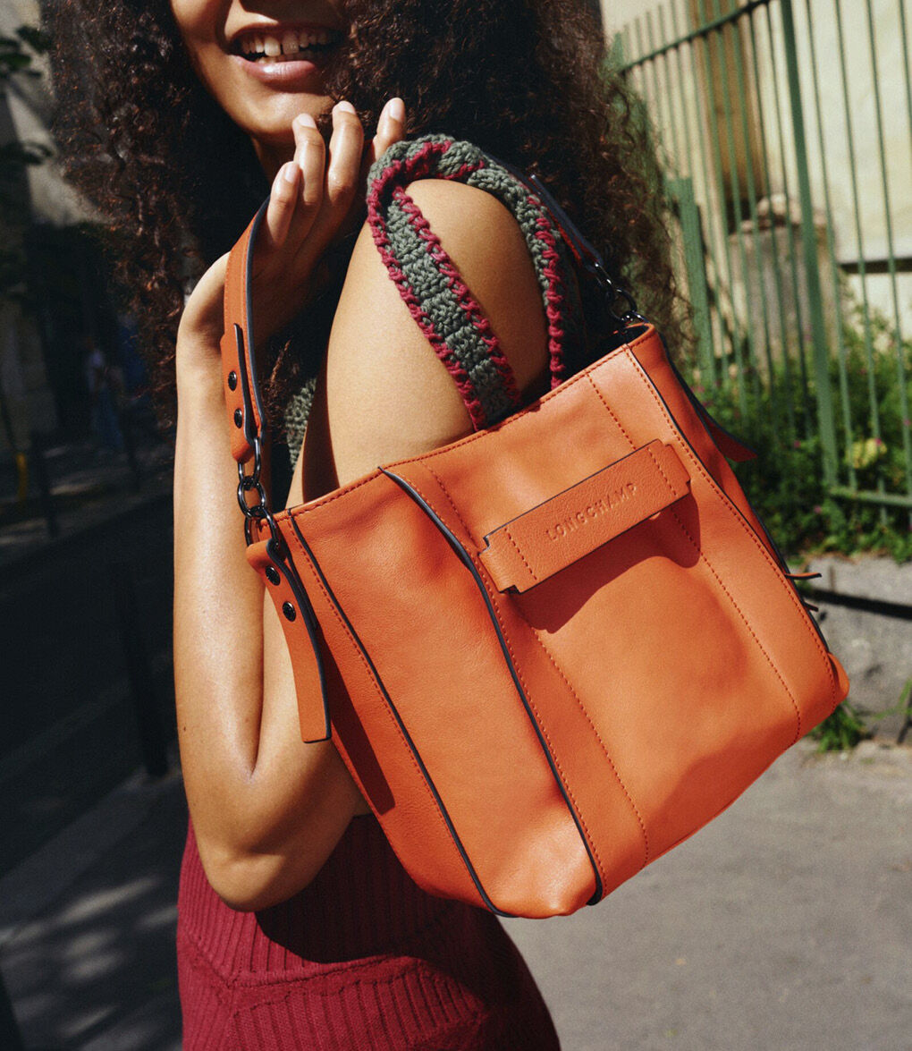 Longchamp hotsell 3d backpack