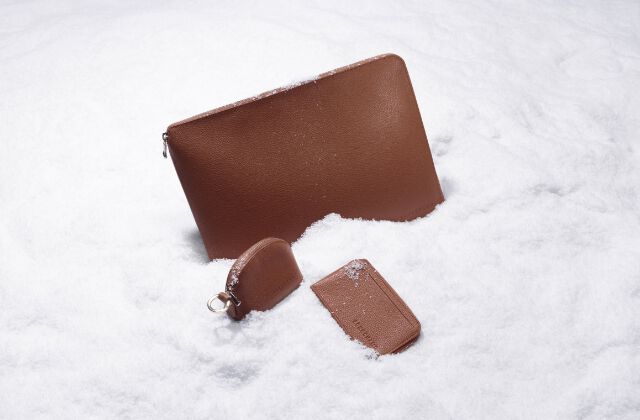 ル フローネ パスポートカバー タートルダヴ - レザー | ロンシャン JP