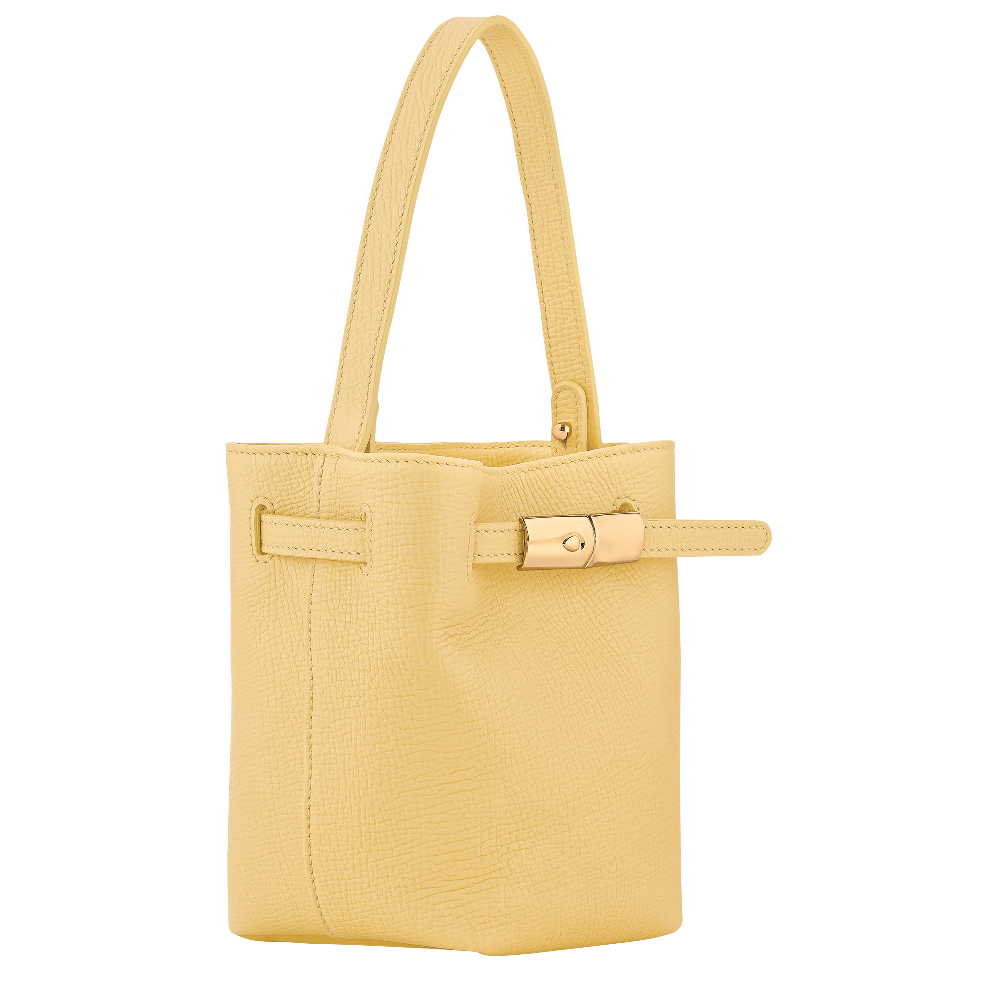 Le Smart Bucket bag XS, Hay