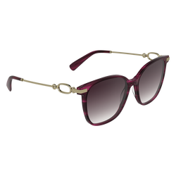 Sunglasses , Striped purple - Acetate