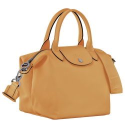 Le Pliage Xtra S Handbag , Honey - Leather