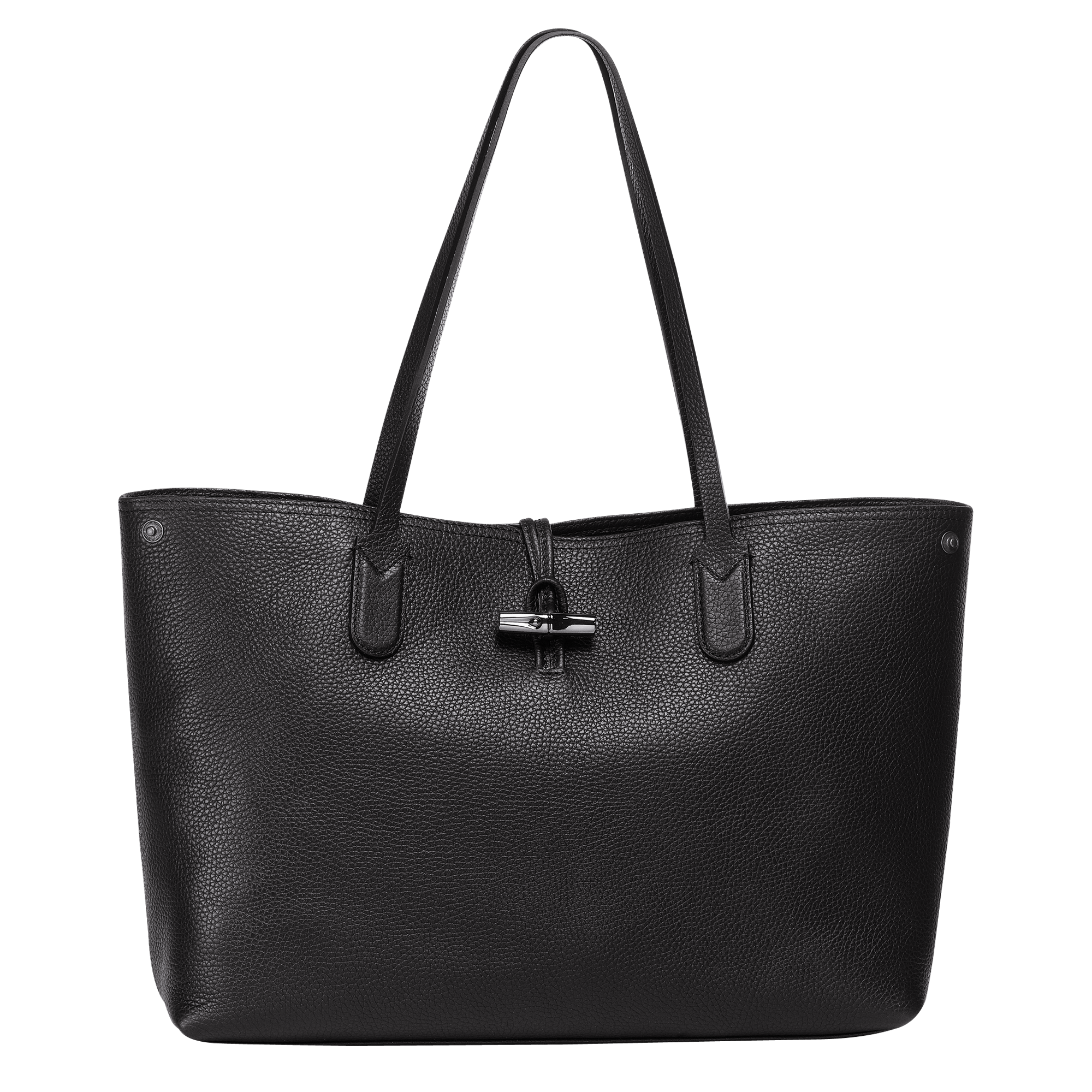 sac longchamp transparent