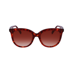 Gafas de sol , Otro - Concha Rojo