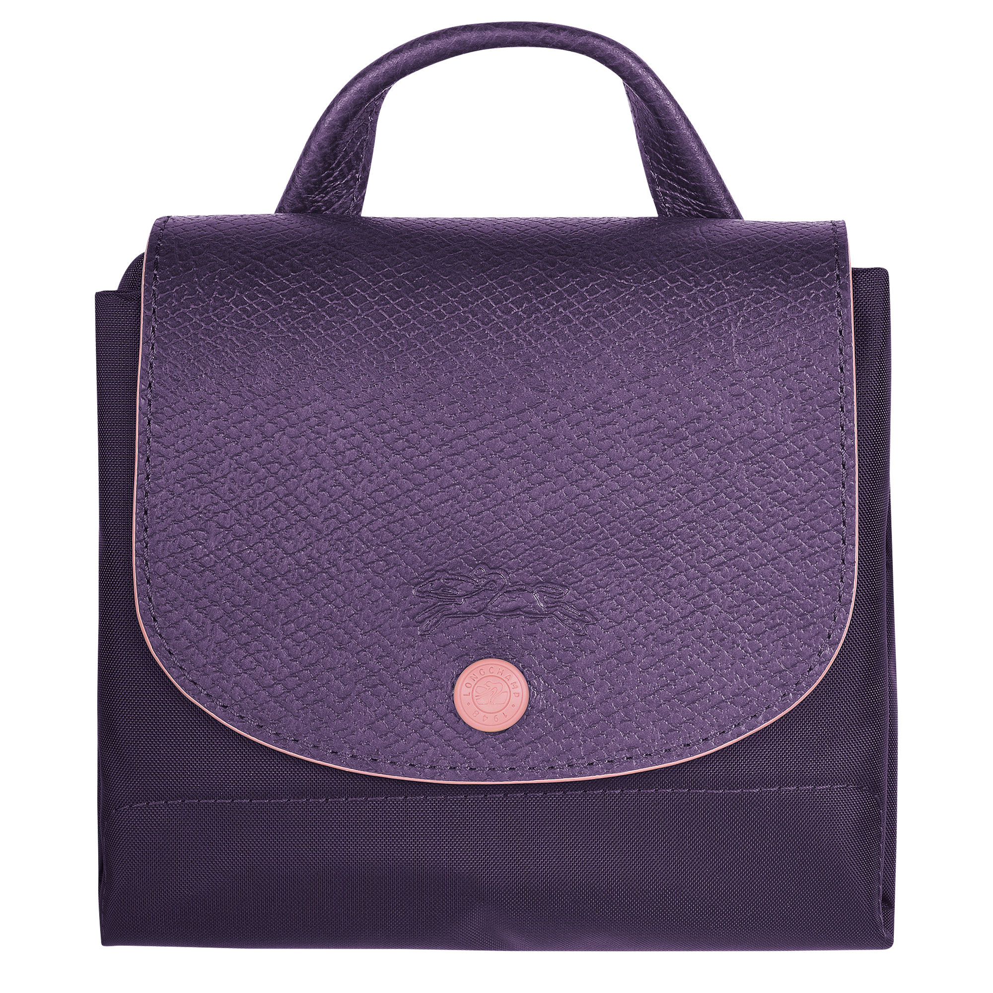 le pliage backpack bilberry