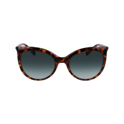 Gafas de sol , Otro - Concha