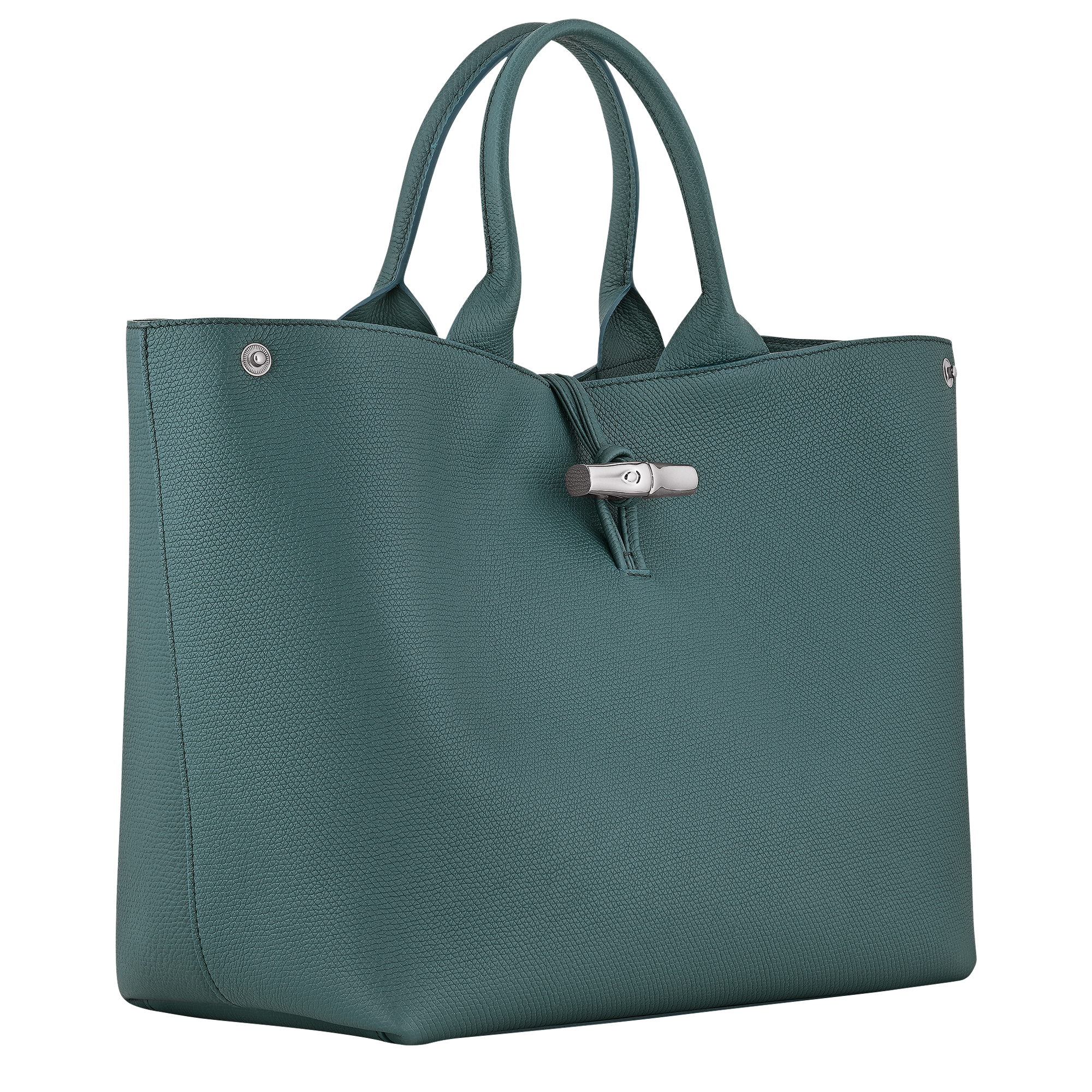 Handbag L, Cedar - View 3 of
5 - zoom in Le Roseau Handbag L, Cedar