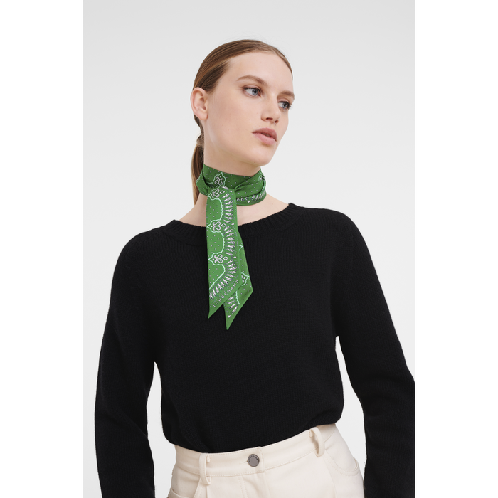 Fall-Winter 2022 Collection Silk ribbon, Green