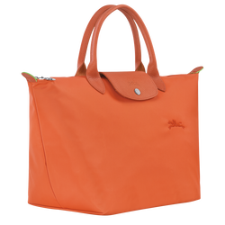 Le Pliage Green Handbag M, Carot