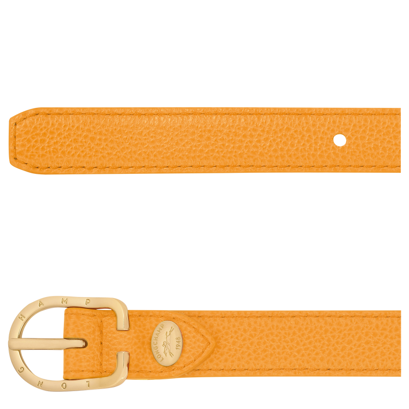 Le Foulonné Ladies' belt , Apricot - Leather  - View 2 of  2