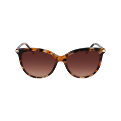 Gafas de sol , Otro - Ochre havana