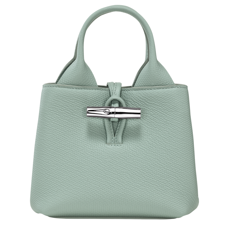 Le roseau longchamp new arrivals