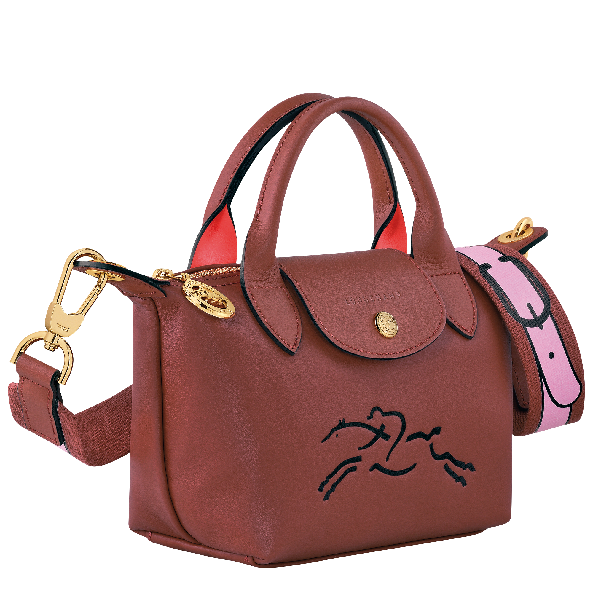 Longchamp Pliage Cuir XS from Vestiaire Collective : r/handbags