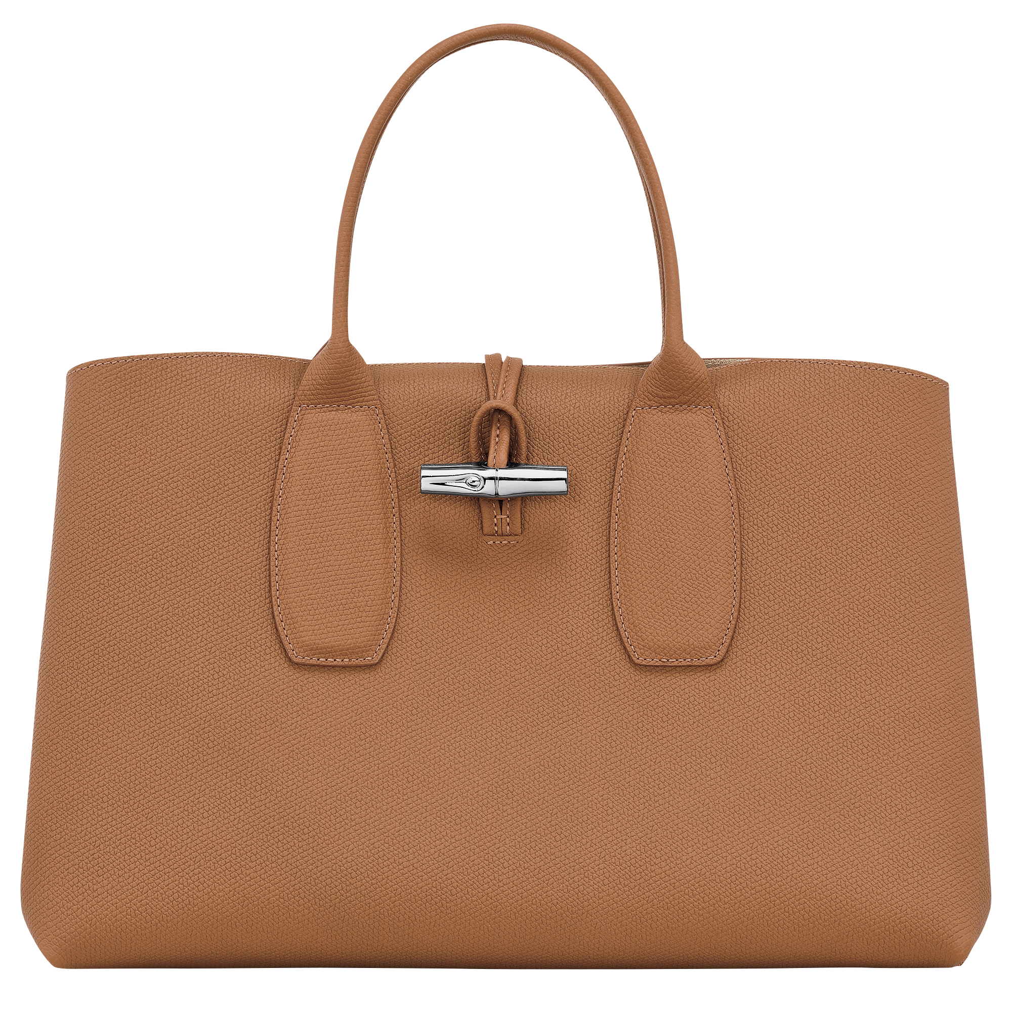 Longchamp Roseau Medium Top Handle Bag in Green