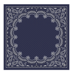 Silk scarf 50