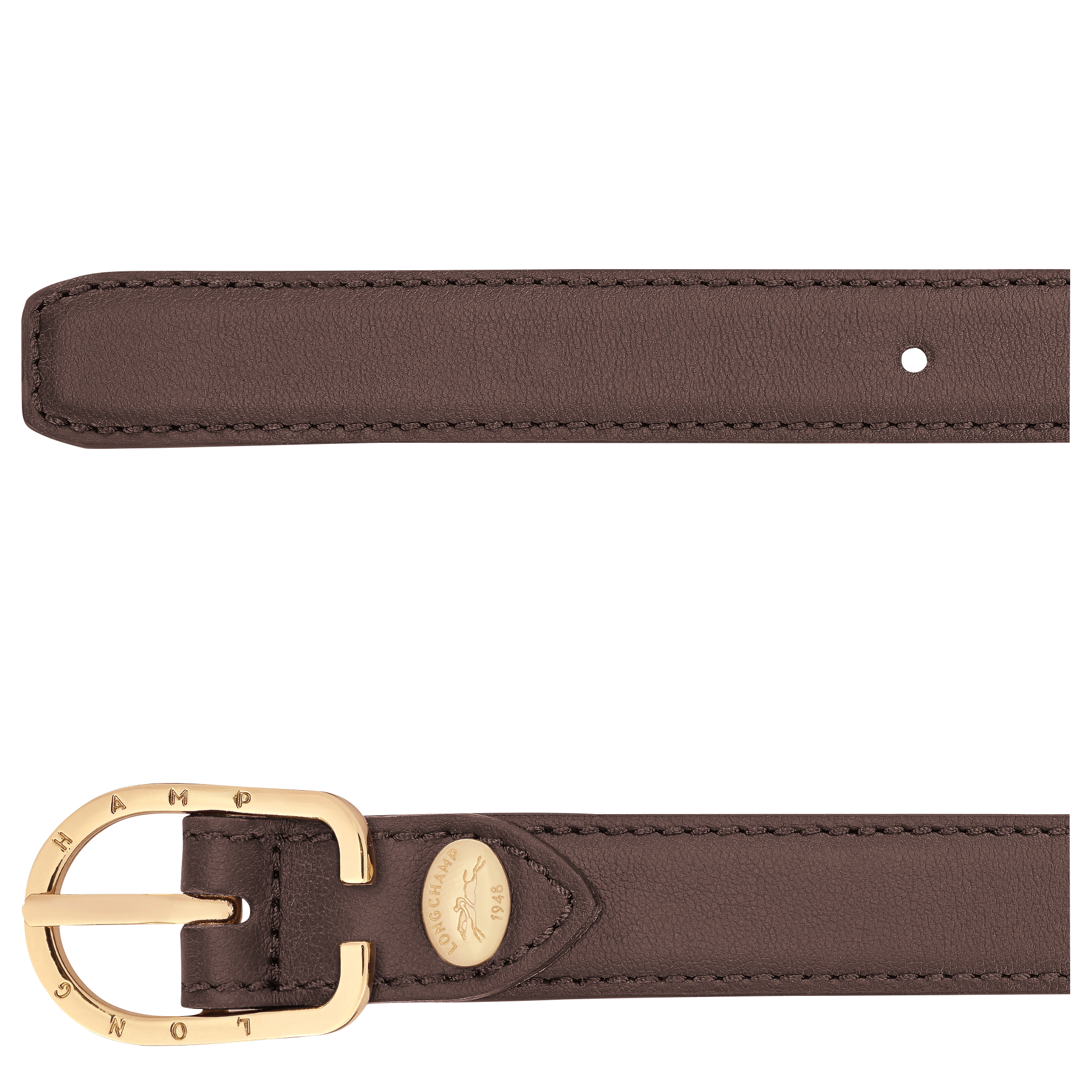 Archive Damesriem, Brown