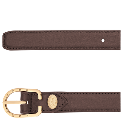 Archive Damesriem, Brown