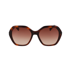 Sunglasses , Havana - Acetate