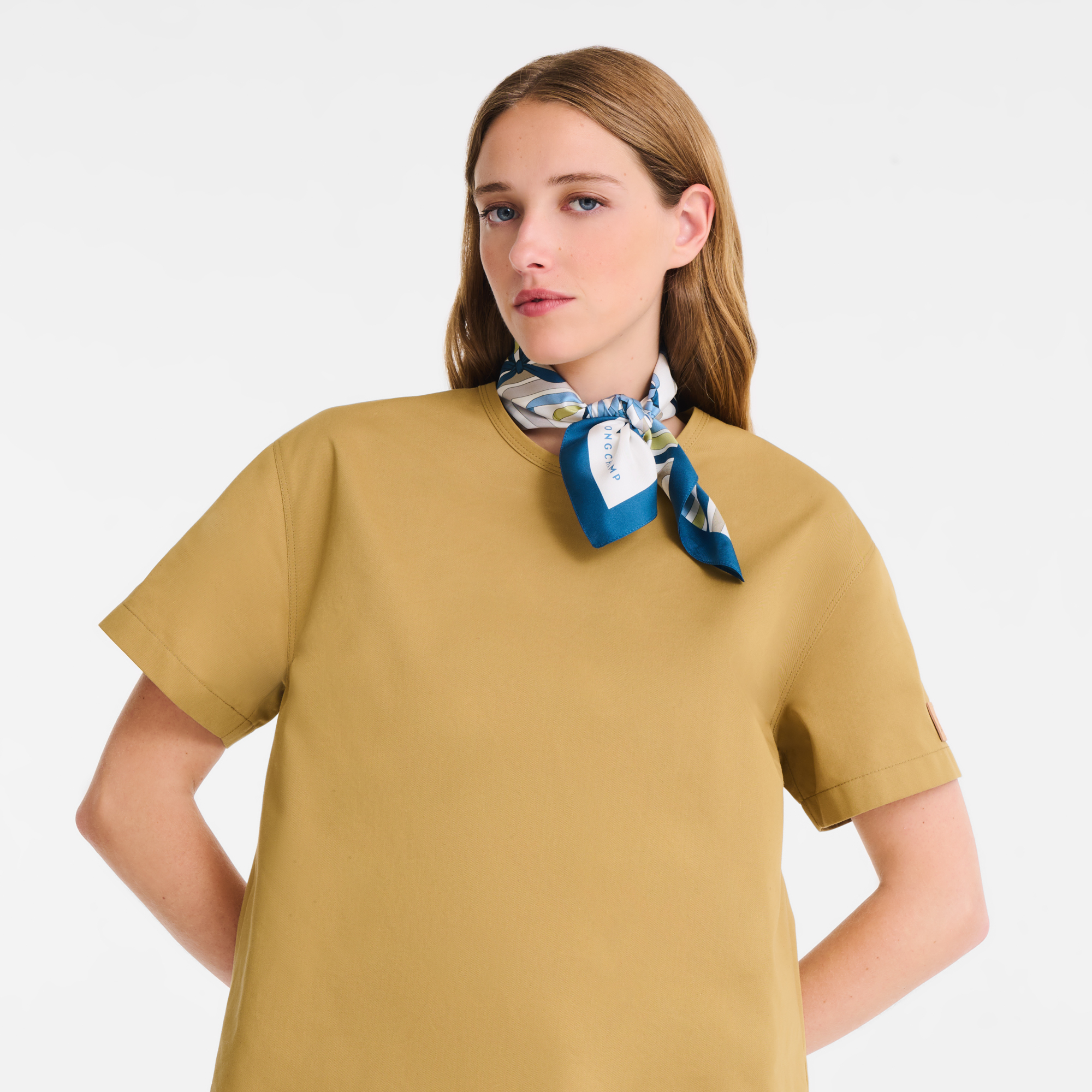 Rubans Longchamp Foulard di seta 50,  Ardesia