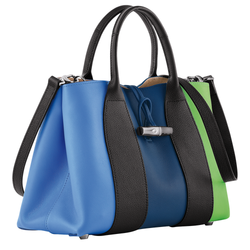 Roseau M Handbag , Multicolor - Leather - View 3 of 6