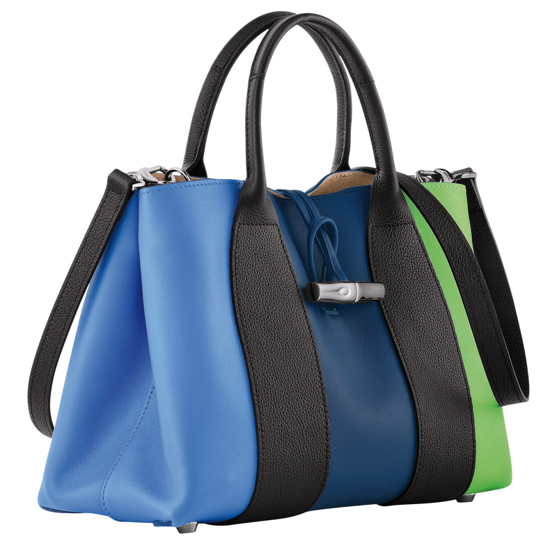 Roseau M Handbag , Multicolor - Leather  - View 3 of 6