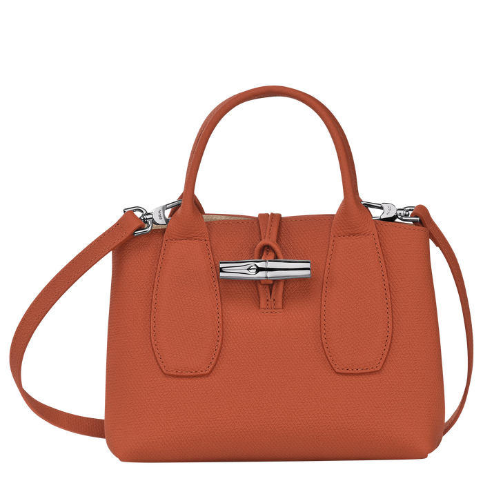 Top handle bag S Roseau Brick (10095HPN177) Longchamp US