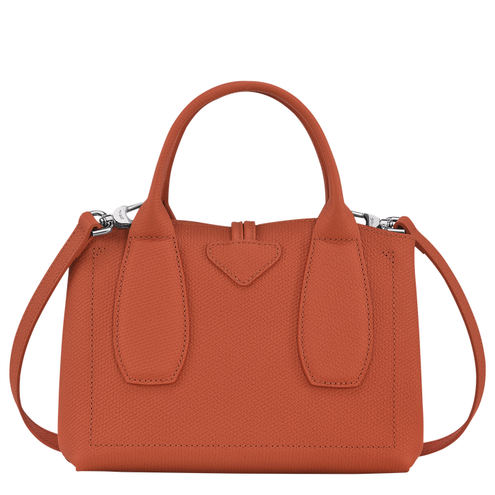 Top handle bag S Roseau Brick (10095HPN177) Longchamp US