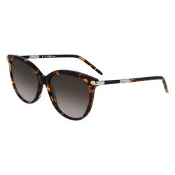 Sunglasses , Havana - OTHER