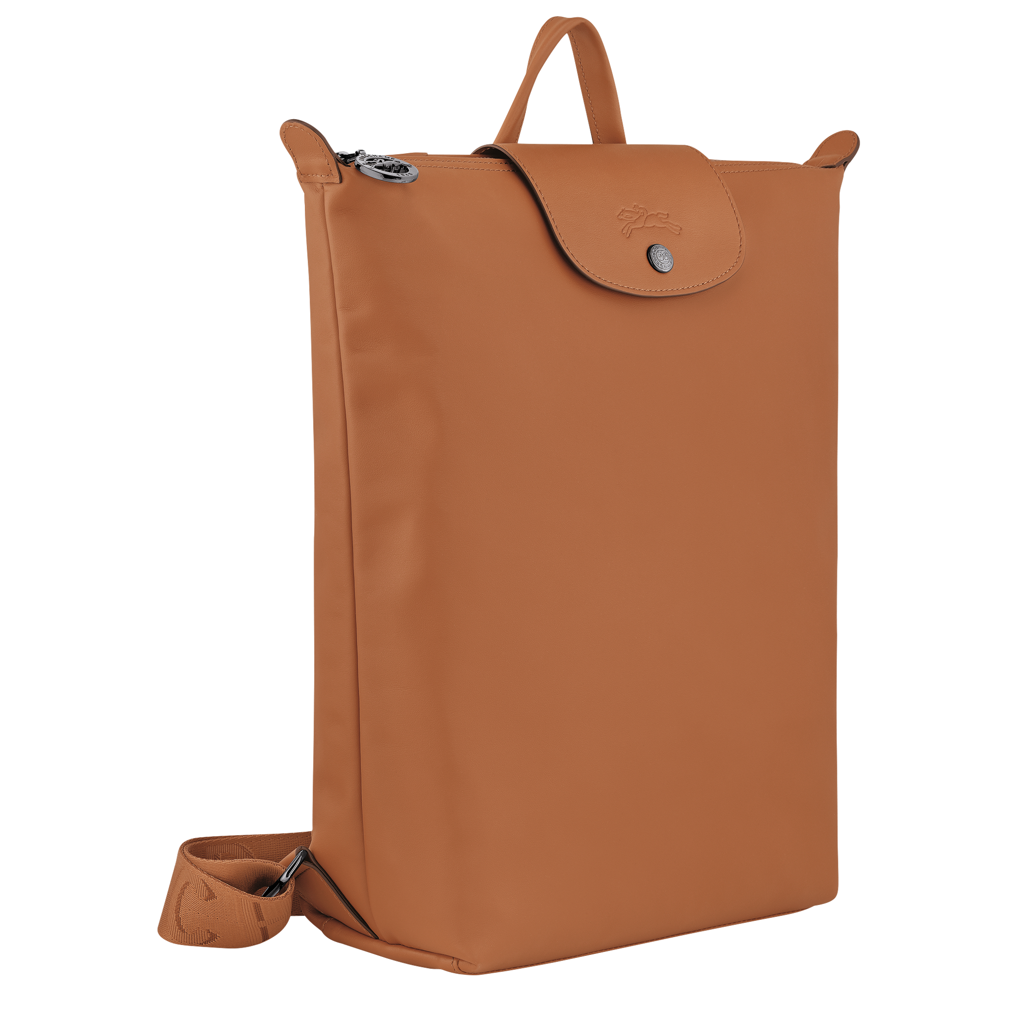 Le Pliage Xtra Zaino M,  Anacardo