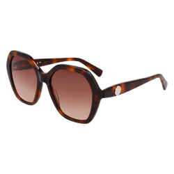 Sunglasses , Havana - OTHER