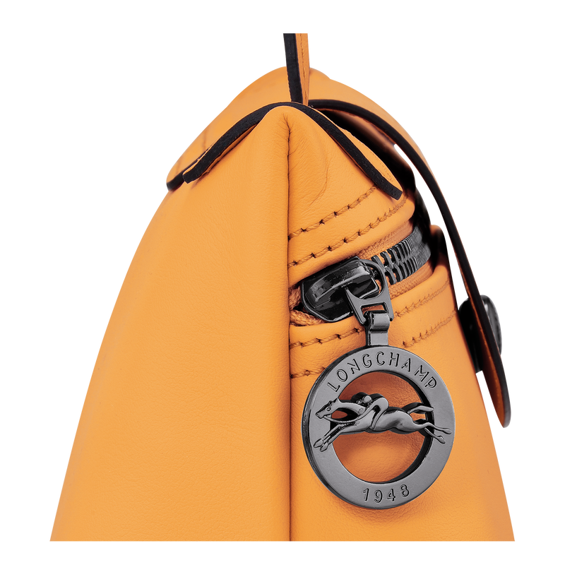 Longchamp 2020 2025 bag