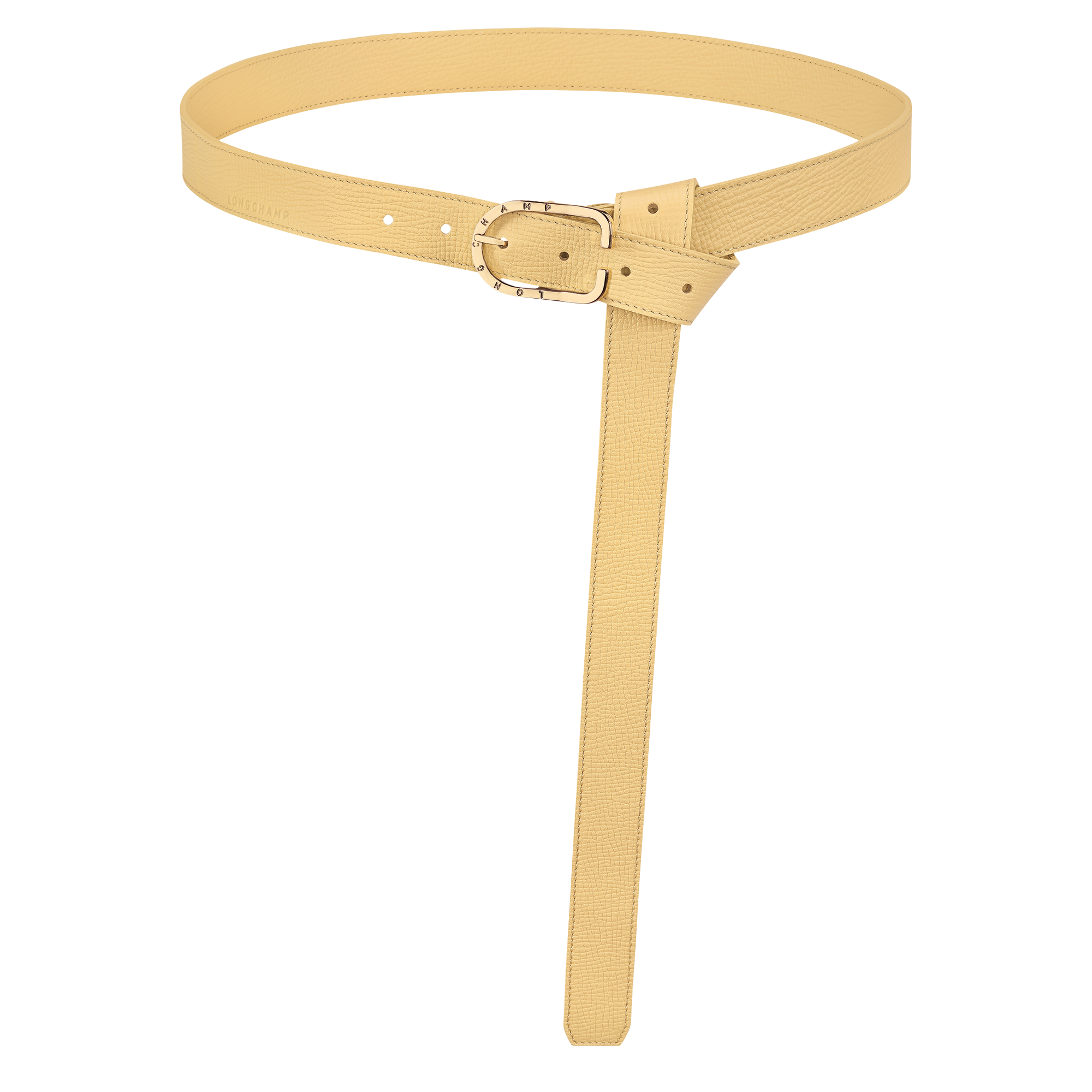Archive Ladies' belt, Hay