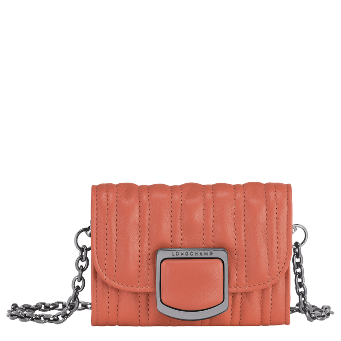 Succesvol Doornen gelei Pasjeshouder met ketting Brioche Roze (30023HVVP63) | Longchamp BE
