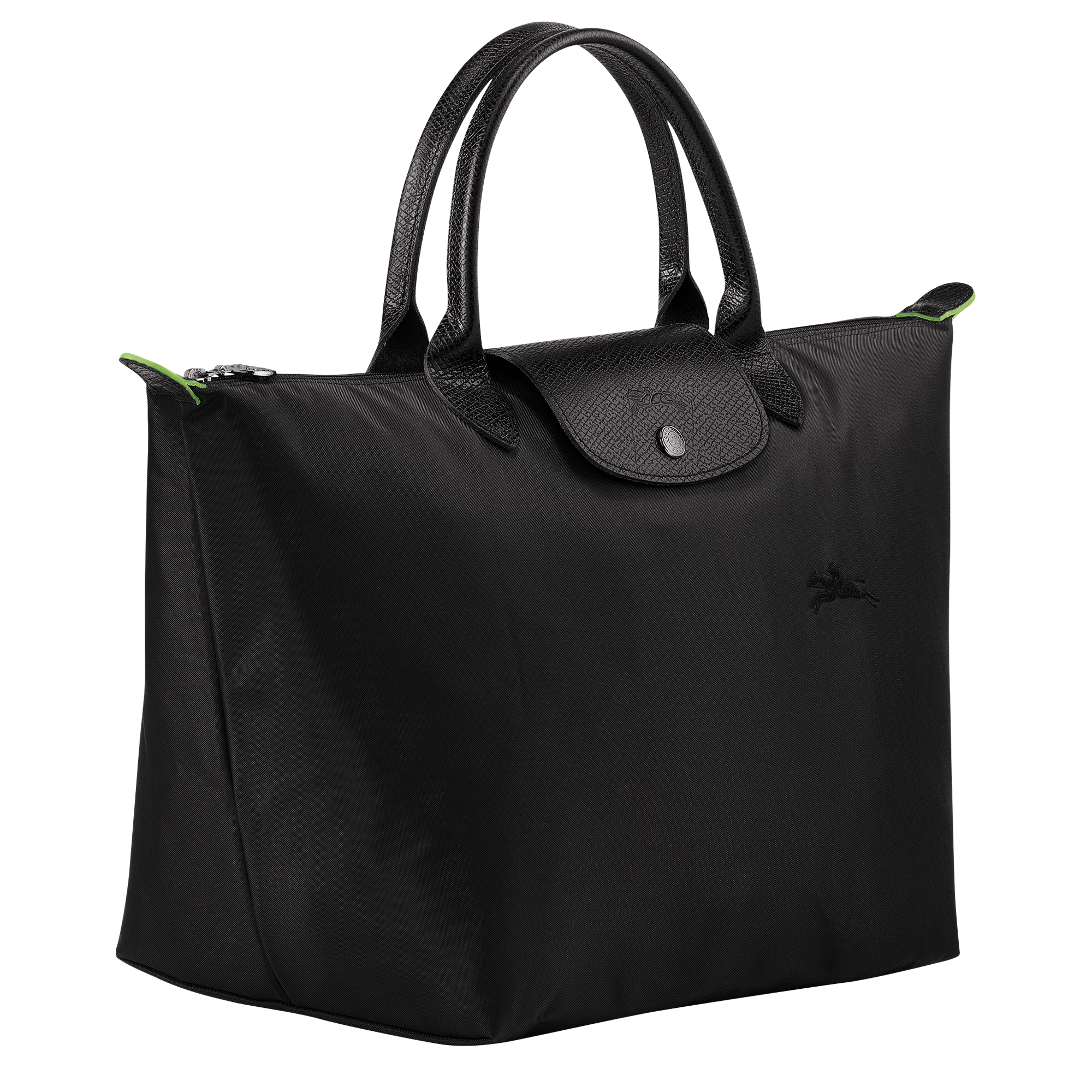 longchamp inspired bag