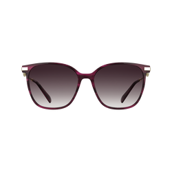 Sunglasses , Striped purple - Acetate