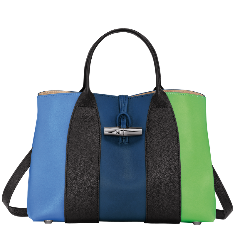 Roseau M Handbag , Multicolor - Leather  - View 1 of 6
