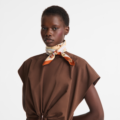 Palette d'Artiste Silk scarf 70 , Cashew - Silk