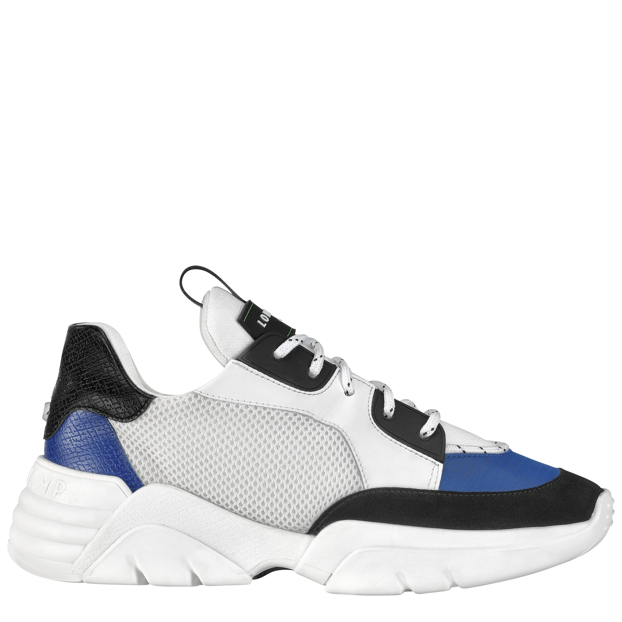 longchamp le pliage shoes