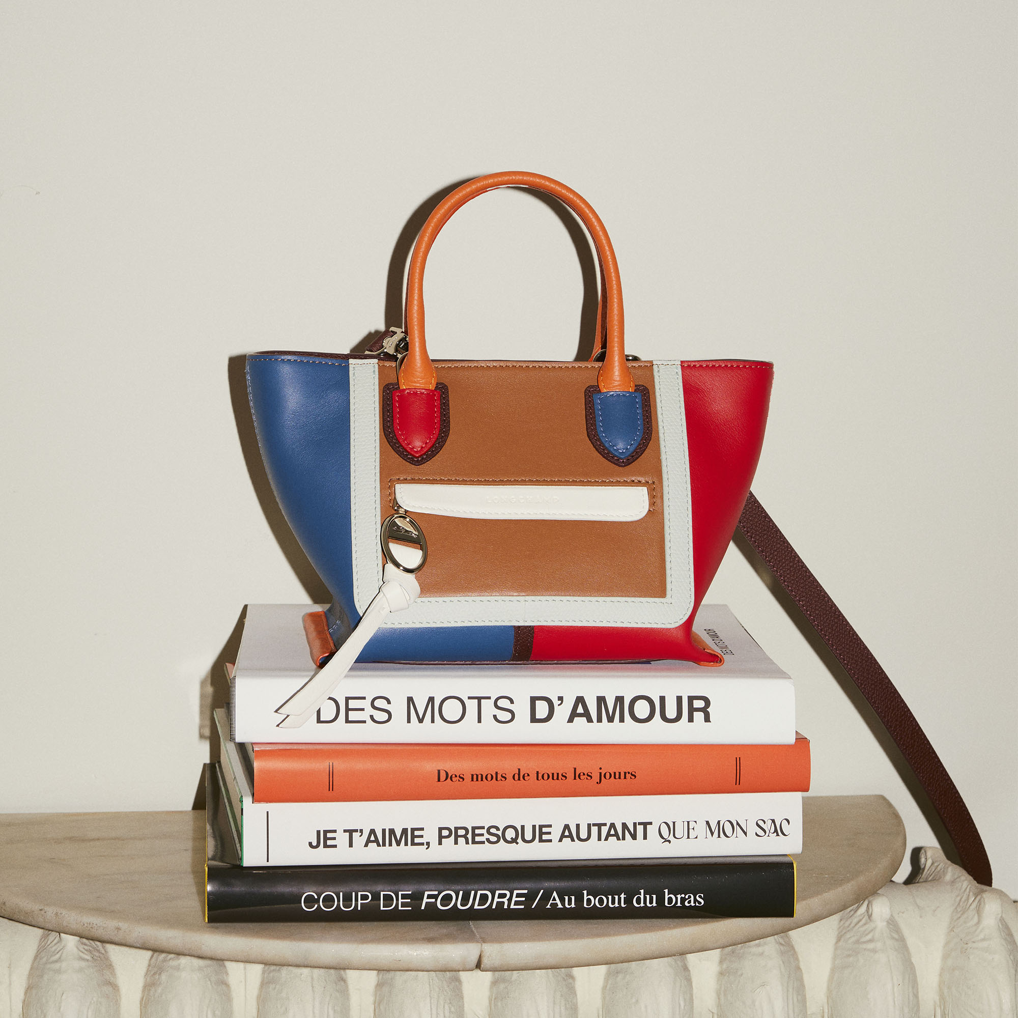 longchamp multicolor bag