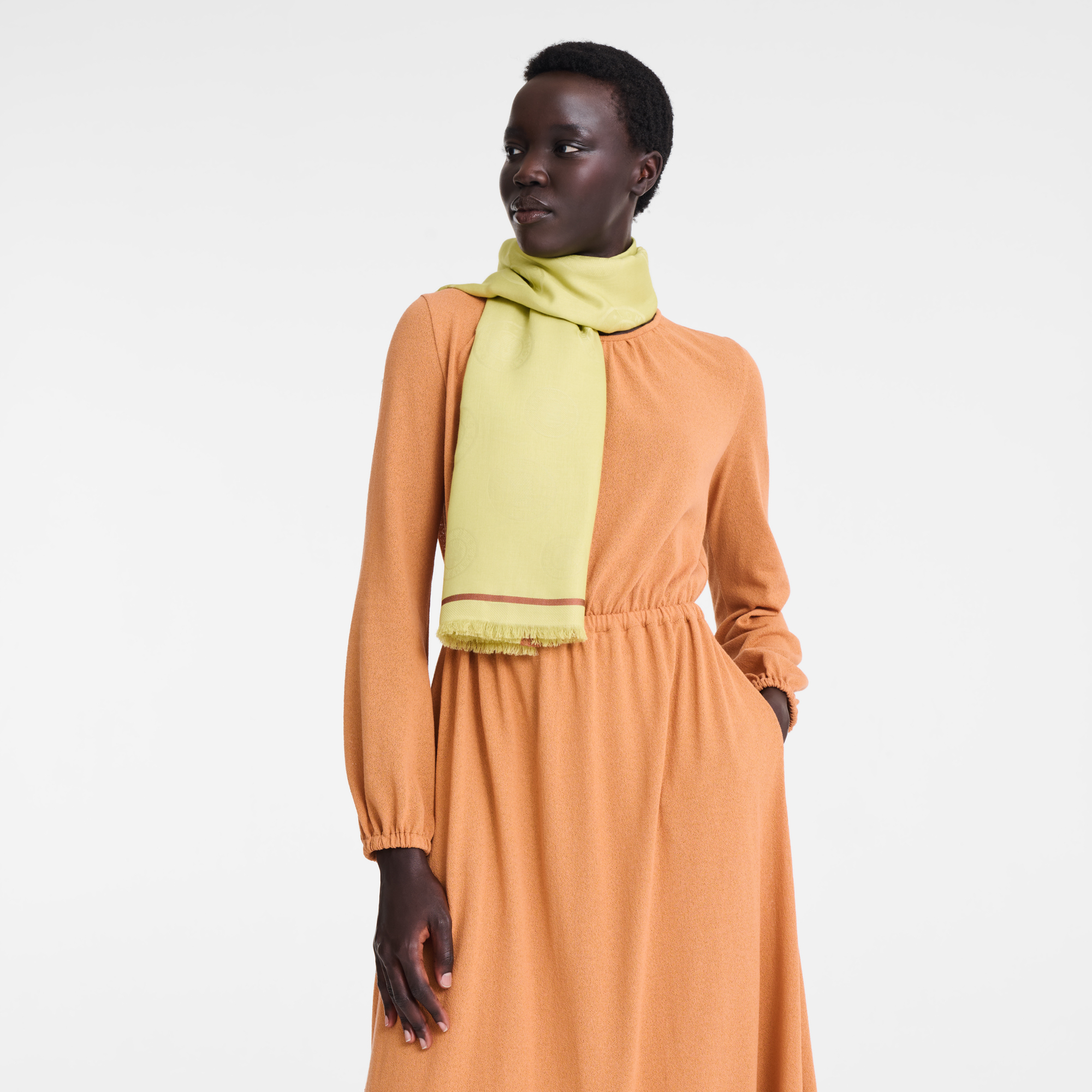 La M&eacute;daille Longchamp Stole,  Pistacchio