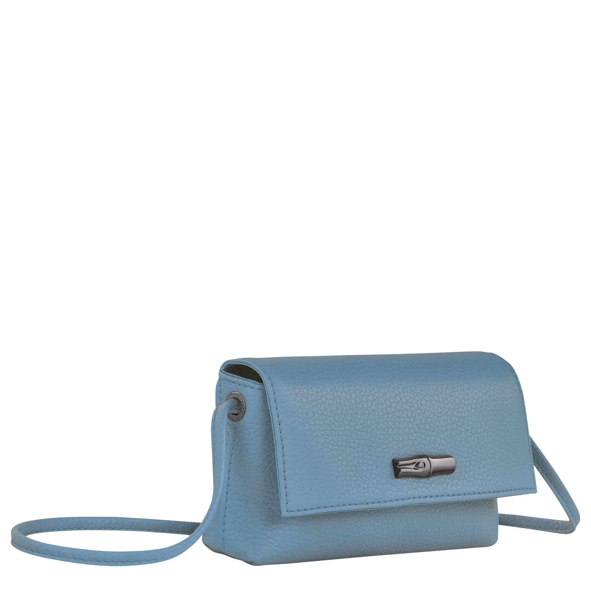 Pochette roseau longchamp online