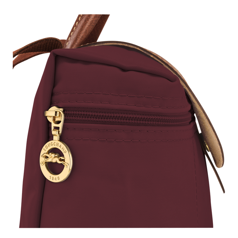 Dahlia longchamp bag hot sale