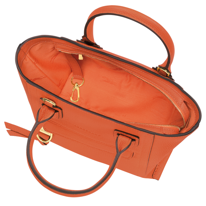 Handbag S Mailbox Carot (10103HTAP69) | Longchamp GB