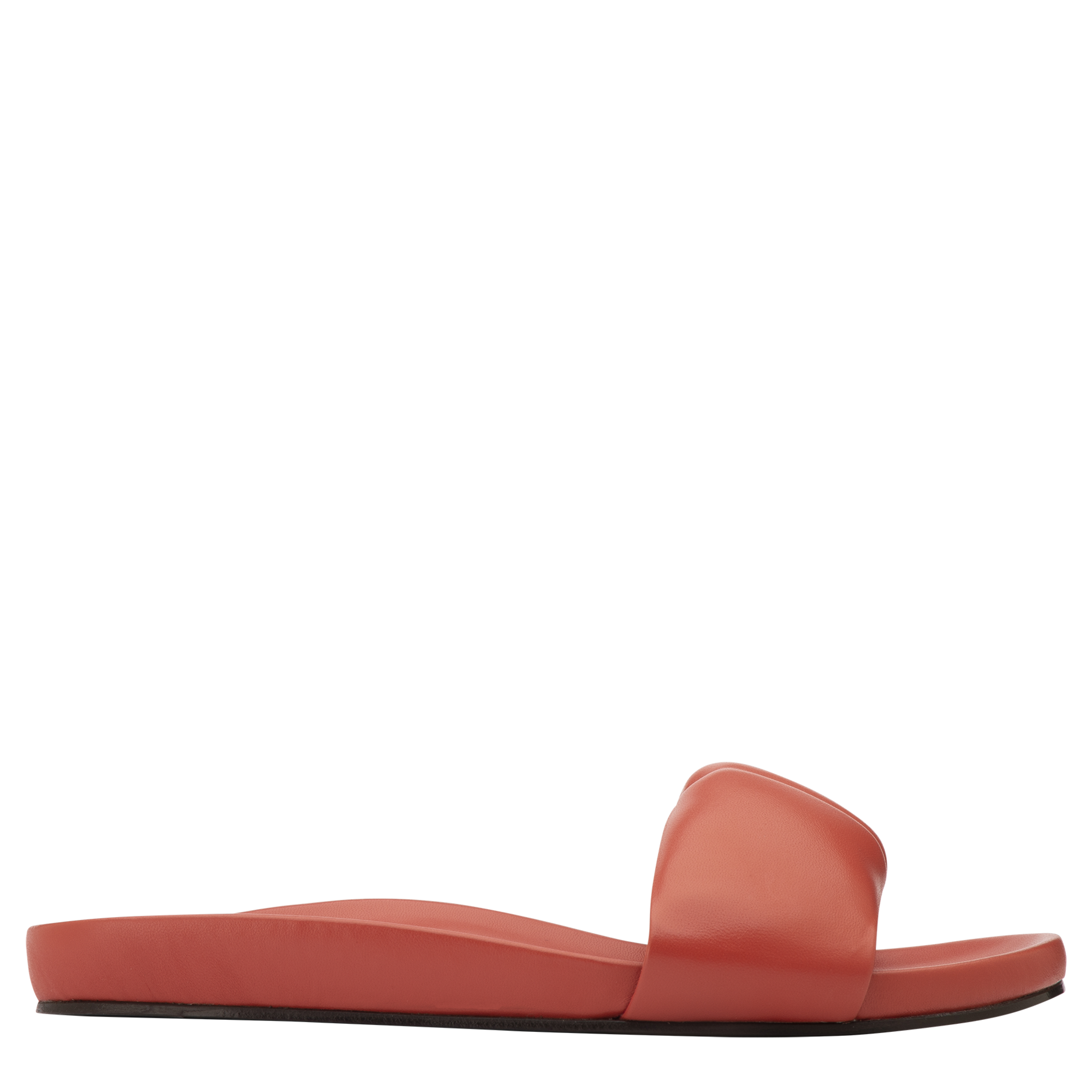 Roseau Mules, Coral