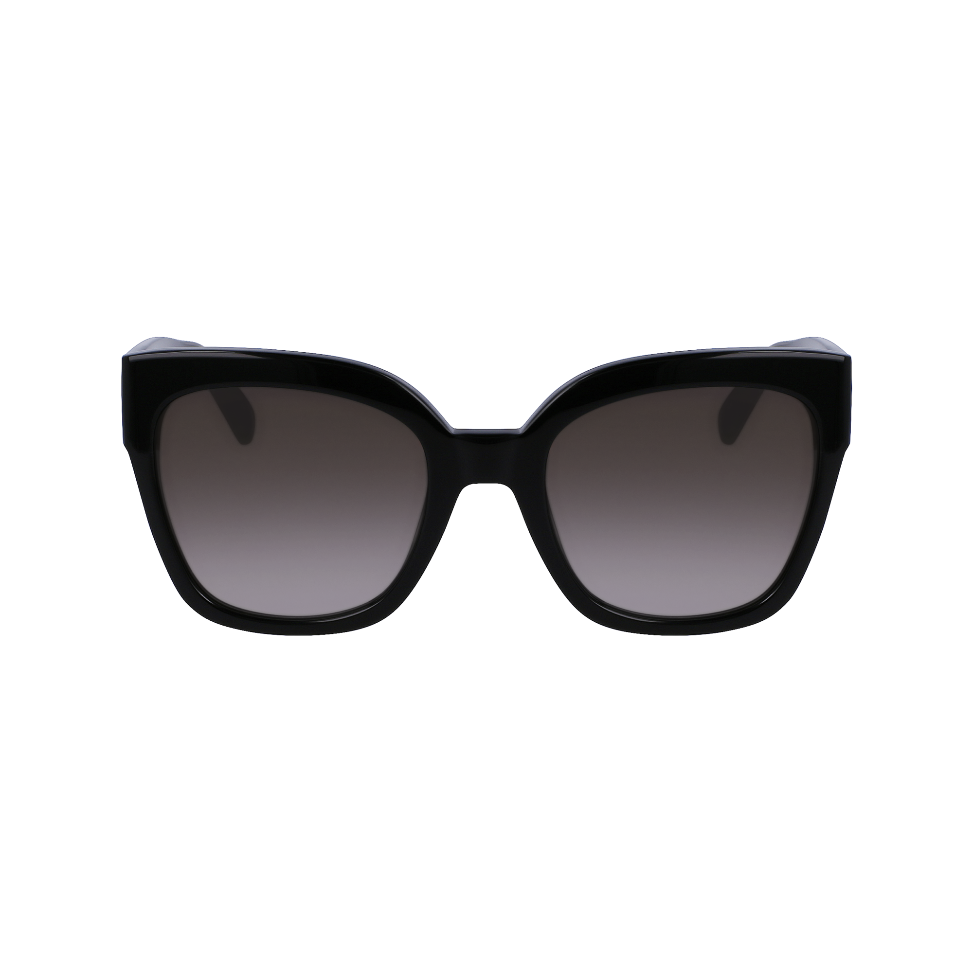 Sunglasses Black - OTHER (55142LUA001) | Longchamp US