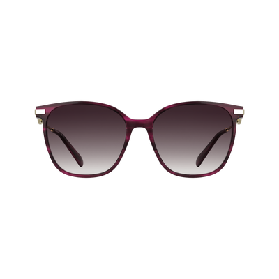 Sonnenbrillen , Acetat - Violett gestreift