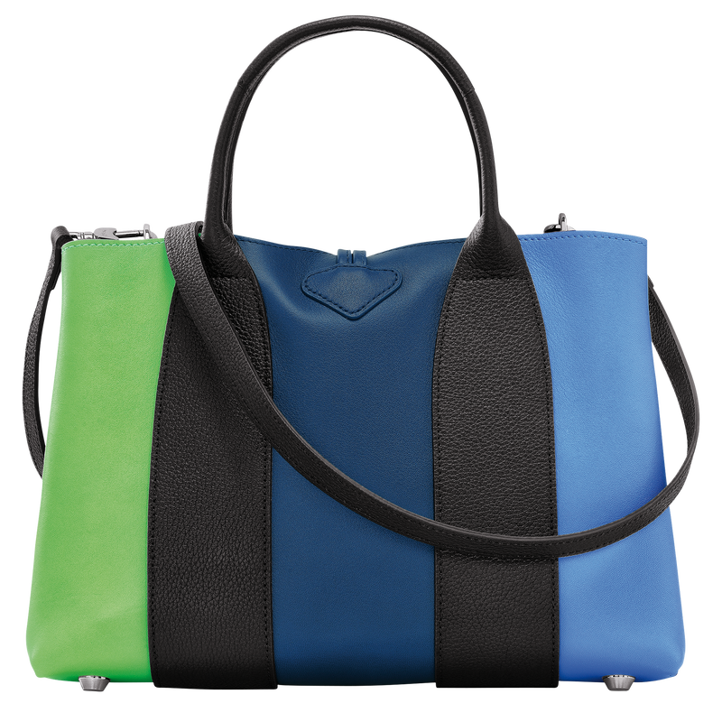 Roseau M Handbag , Multicolor - Leather  - View 4 of 6