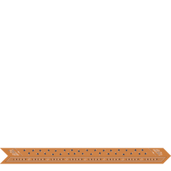 French Bandana Headband , Amber - Silk