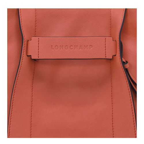 Umhängetasche S Longchamp 3D , Leder - Ockerbraun - Ansicht 6 von 6